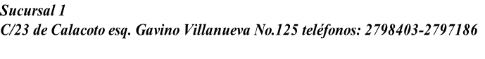 Sucursal 1
C/23 de Calacoto esq. Gavino Villanueva No.125 teléfonos: 2798403-2797186

